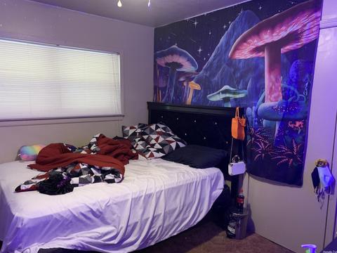 3113 Lilac, Pine Bluff, AR 71603 photo 7