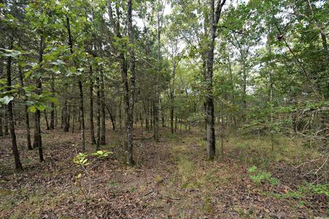 609 W Boundary, Mena, AR 71953 photo 38