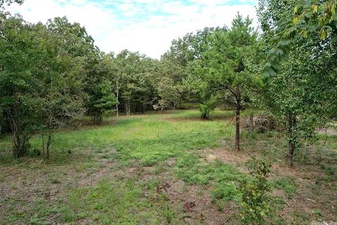 609 W Boundary, Mena, AR 71953 photo 33