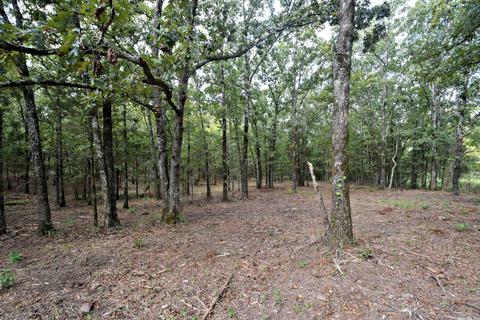 609 W Boundary, Mena, AR 71953 photo 36