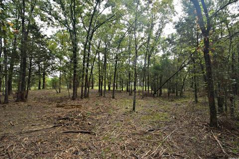 609 W Boundary, Mena, AR 71953 photo 39