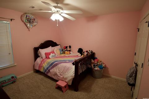 1025 Skyline Dr, Alexander, AR 72002 photo 10