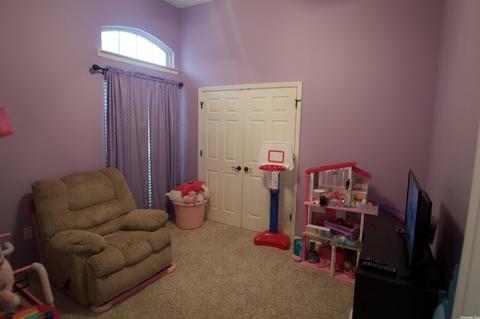 1025 Skyline Dr, Alexander, AR 72002 photo 9