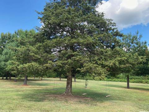 187 Enders, Quitman, AR 72131 photo 33