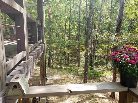 1438 Banner Loop, Shirley, AR 72153 photo 4