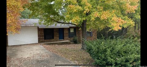 106 Sara Cir, Ash Flat, AR 72513 photo 19