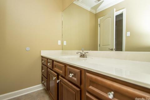 719 Maia, Benton, AR 72019 photo 25