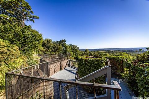 559 Evans Mountain Rd, Clinton, AR 72031 photo 8