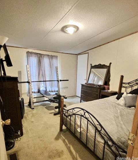 65 Piney Rds, Bigelow, AR 72016 photo 17