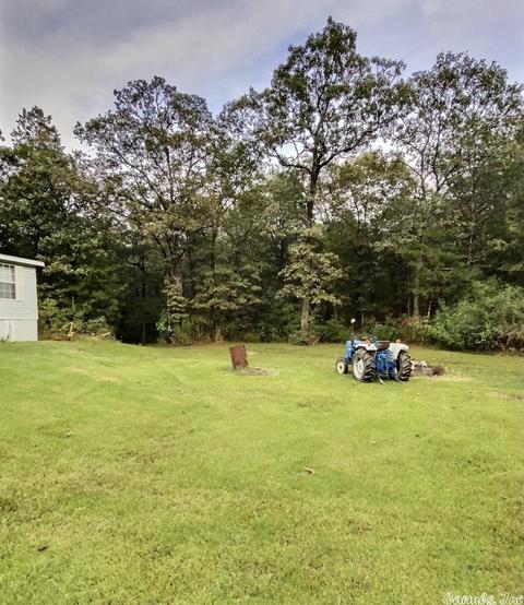 65 Piney Rds, Bigelow, AR 72016 photo 20