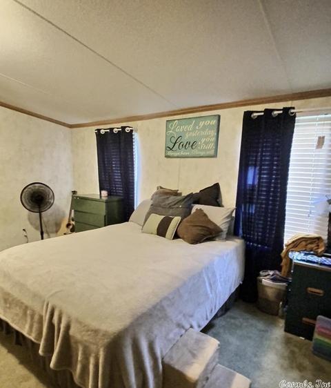 65 Piney Rds, Bigelow, AR 72016 photo 11