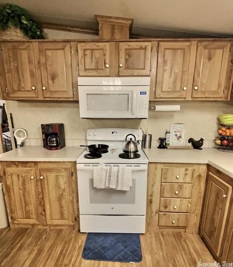 65 Piney Rds, Bigelow, AR 72016 photo 3