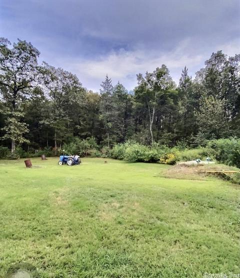 65 Piney Rds, Bigelow, AR 72016 photo 18