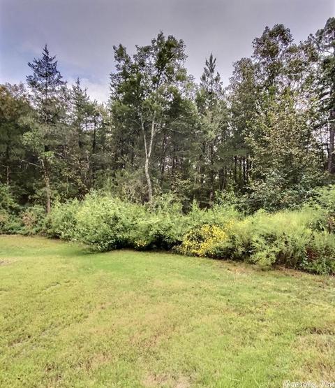 65 Piney Rds, Bigelow, AR 72016 photo 21