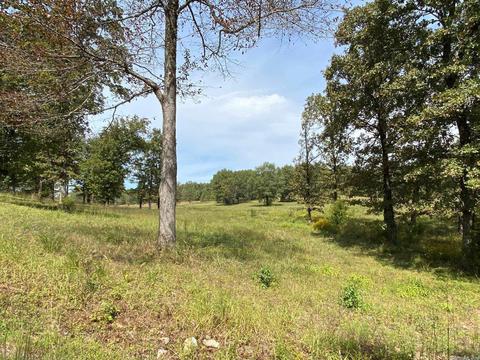 298 Mckenzie Trl, Royal, AR 71968 photo 25