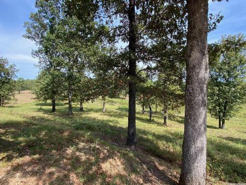 298 Mckenzie Trl, Royal, AR 71968 photo 16