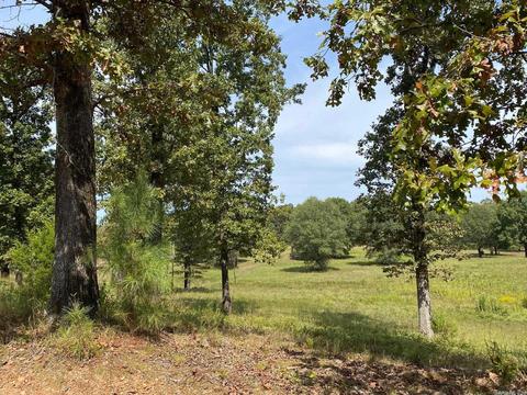 298 Mckenzie Trl, Royal, AR 71968 photo 23
