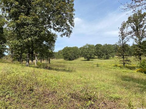 298 Mckenzie Trl, Royal, AR 71968 photo 24