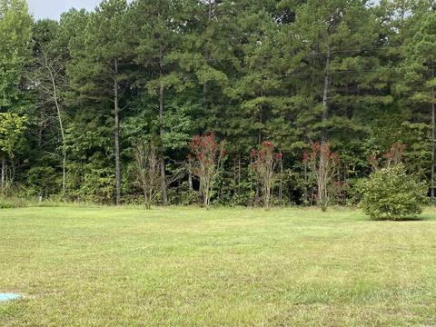 161 Glendenning, Clinton, AR 72031 photo 3