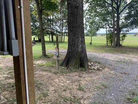 120 State Rd, Georgetown, AR 72143 photo 20