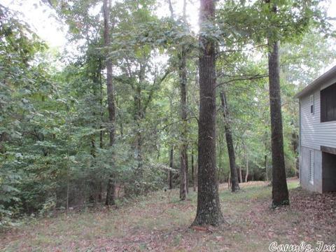 1017 Lilly St, Harrison, AR 72601 photo 3