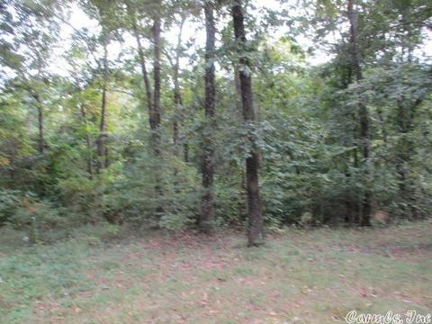 1017 Lilly St, Harrison, AR 72601 photo 2