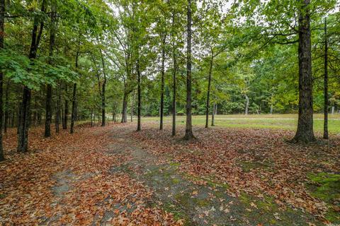 242 Overbeck Ln, Romance, AR 72136 photo 25