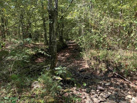 459 Woodham Rd, Concord, AR 72053 photo 7