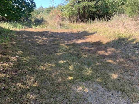 459 Woodham Rd, Concord, AR 72053 photo 3