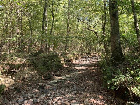 459 Woodham Rd, Concord, AR 72053 photo 9