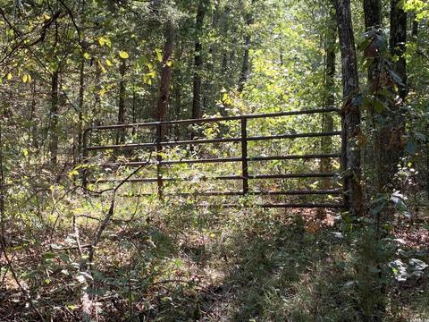 459 Woodham Rd, Concord, AR 72053 photo 8