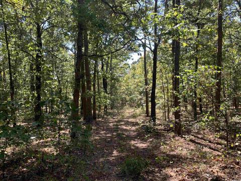 459 Woodham Rd, Concord, AR 72053 photo 4