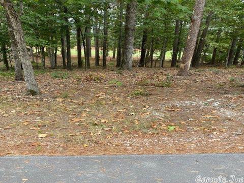 74 Loyola Dr, Hot Springs Village, AR 71909