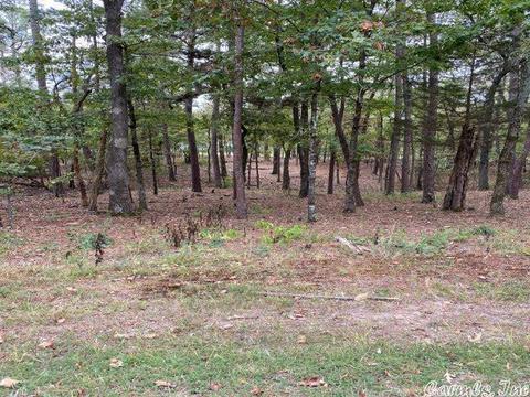 46 Loyola Dr, Hot Springs Village, AR 71909