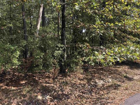 8 Loyola Way, Hot Springs Village, AR 71909