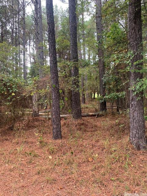 10 Poema Ln, Hot Springs Village, AR 71909