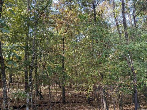 5 Darro Way, Hot Springs Village, AR 71909