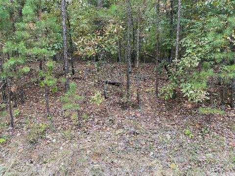 6 Princesa Ln, Hot Springs Village, AR 71909