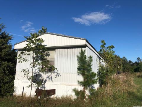 12 Reid Ln, Jerusalem, AR 72080 photo 4