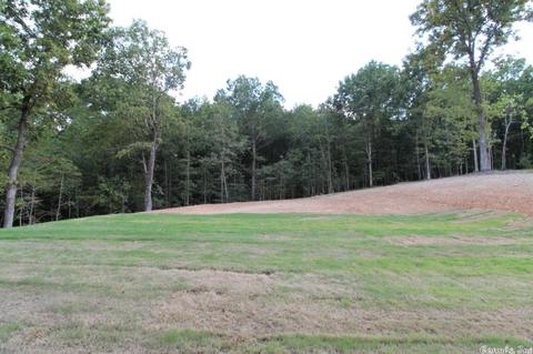 601 Lucy Ln, Alexander, AR 72002 photo 13