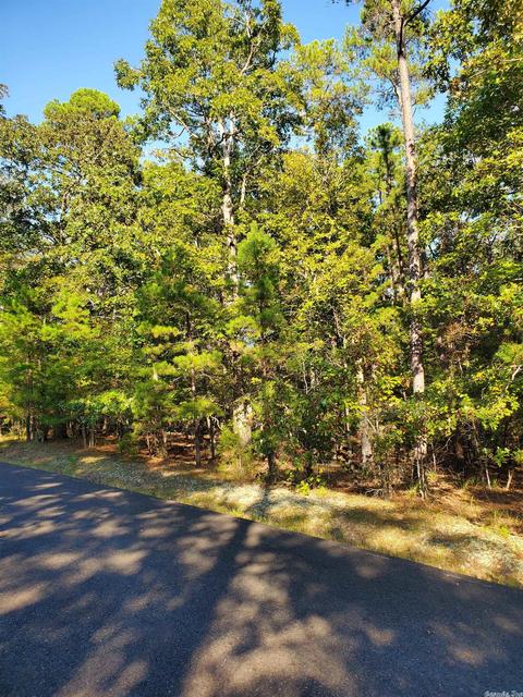 2 Princesa Ln, Hot Springs Village, AR 71909