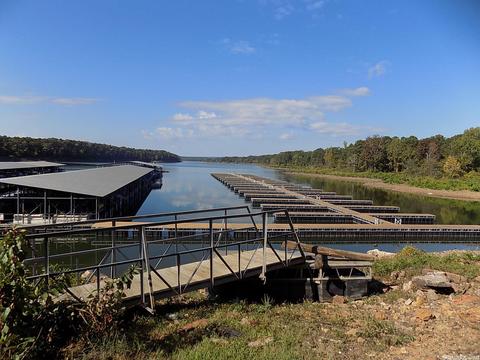 246 Meade Rd, Clinton, AR 72031 photo 30