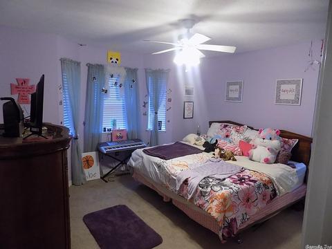 246 Meade Rd, Clinton, AR 72031 photo 17