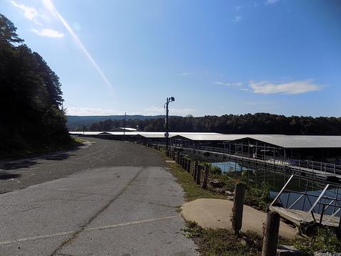 246 Meade Rd, Clinton, AR 72031 photo 31
