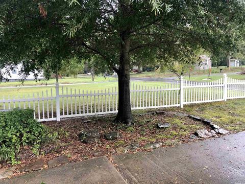 304 Torrence St, Pangburn, AR 72121 photo 34