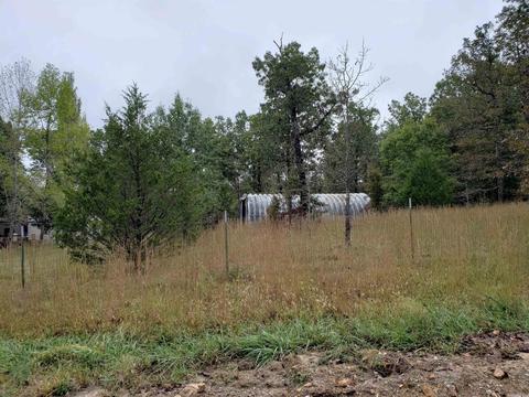 326 Doe Run Cir, Glencoe, AR 72539 photo 26