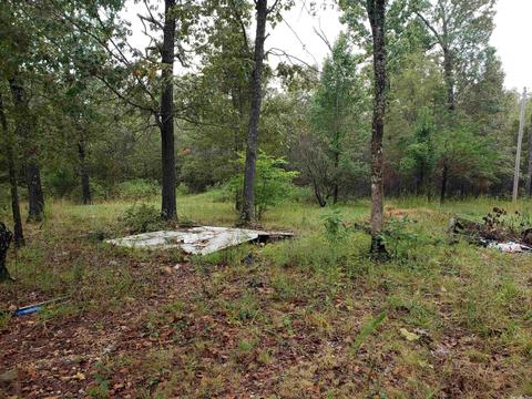 326 Doe Run Cir, Glencoe, AR 72539 photo 5