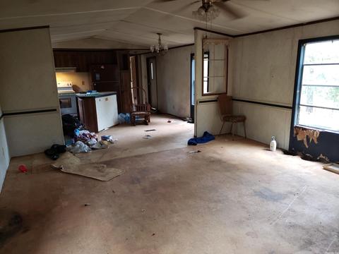 326 Doe Run Cir, Glencoe, AR 72539 photo 9