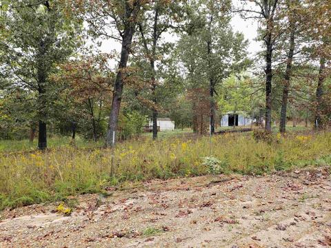 326 Doe Run Cir, Glencoe, AR 72539 photo 24