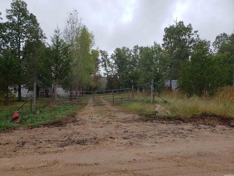 326 Doe Run Cir, Glencoe, AR 72539 photo 32